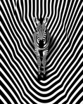 Load image into Gallery viewer, Zebra Wrap
